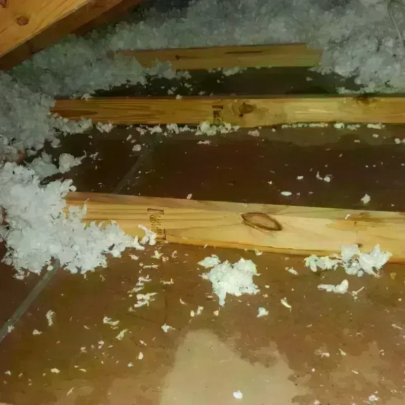 Attic Water Damage in Glenwood, AR