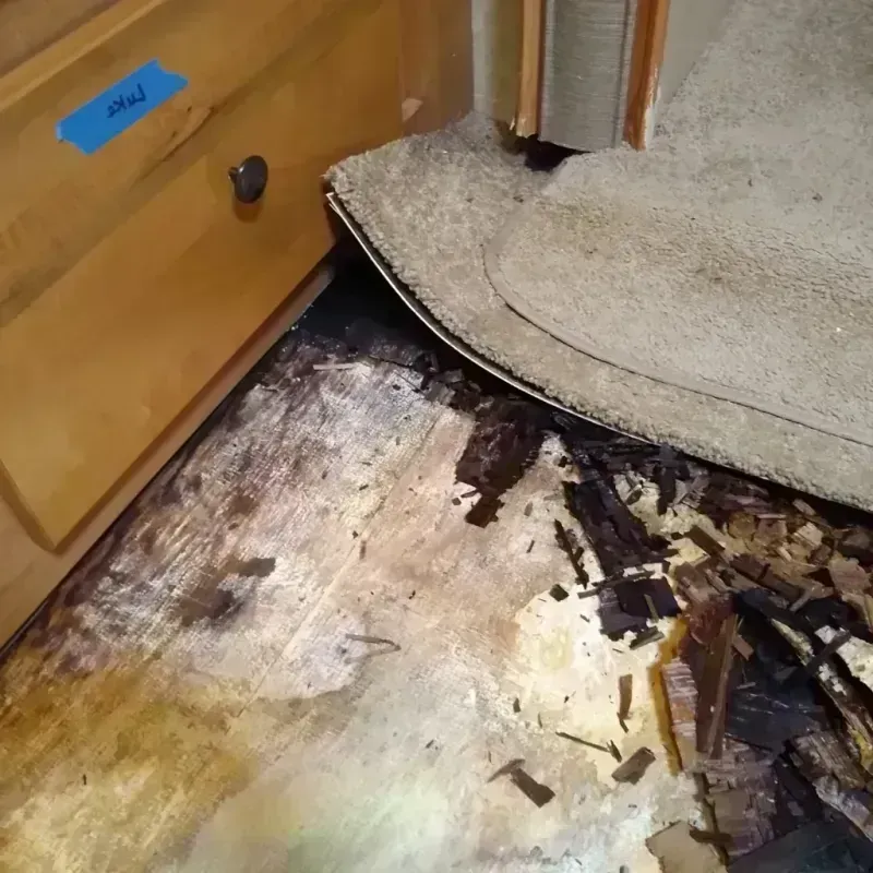 Best Wood Floor Water Damage Service in Glenwood, AR